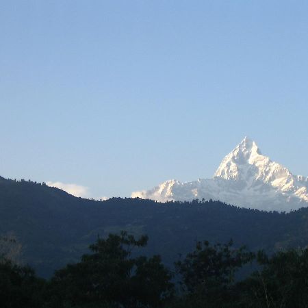 Pokhara Palace Hotel Bagian luar foto